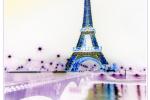 French dreams